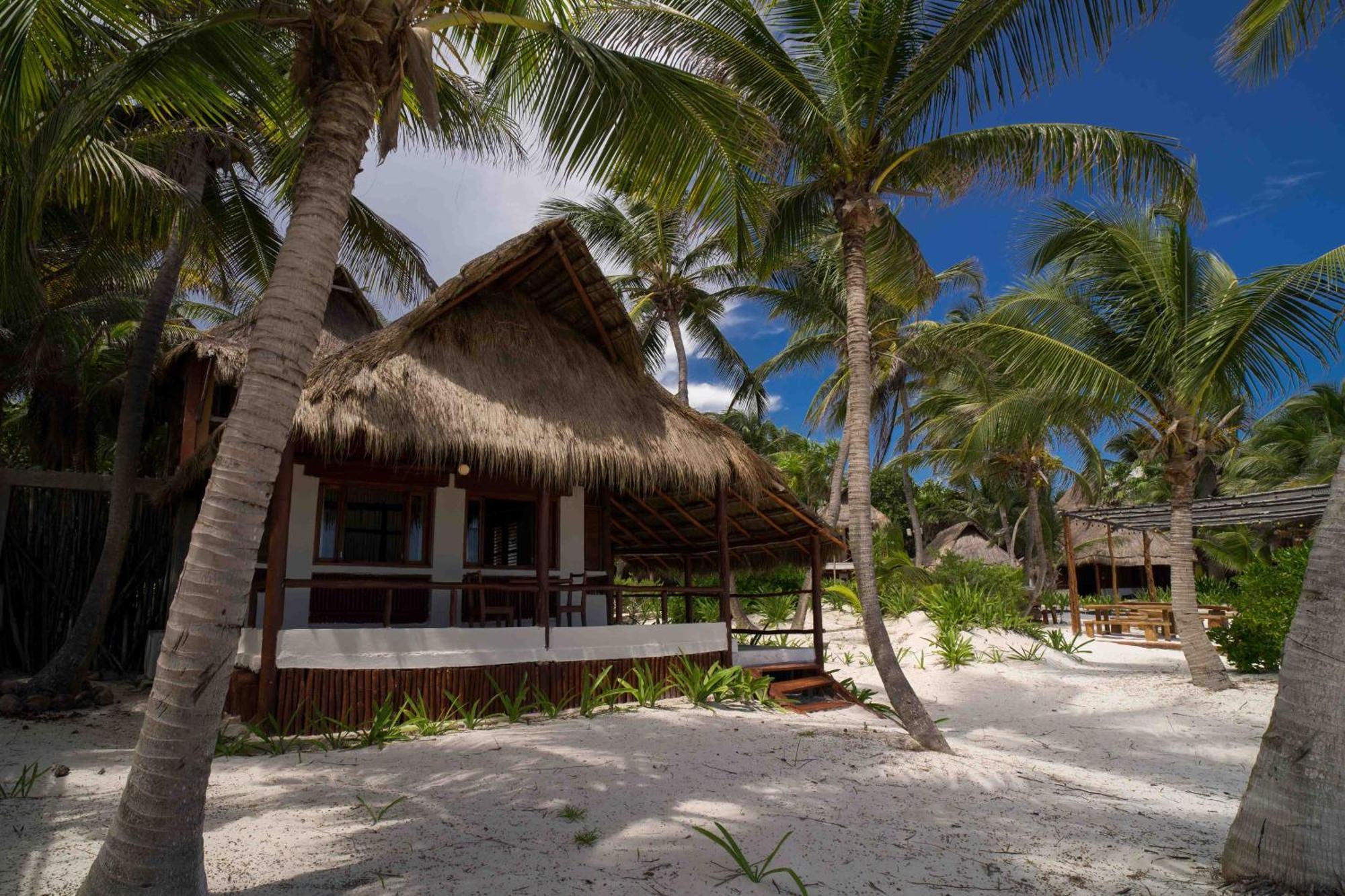Bt Live Tulum Located At The Party Zone Hotel Buitenkant foto