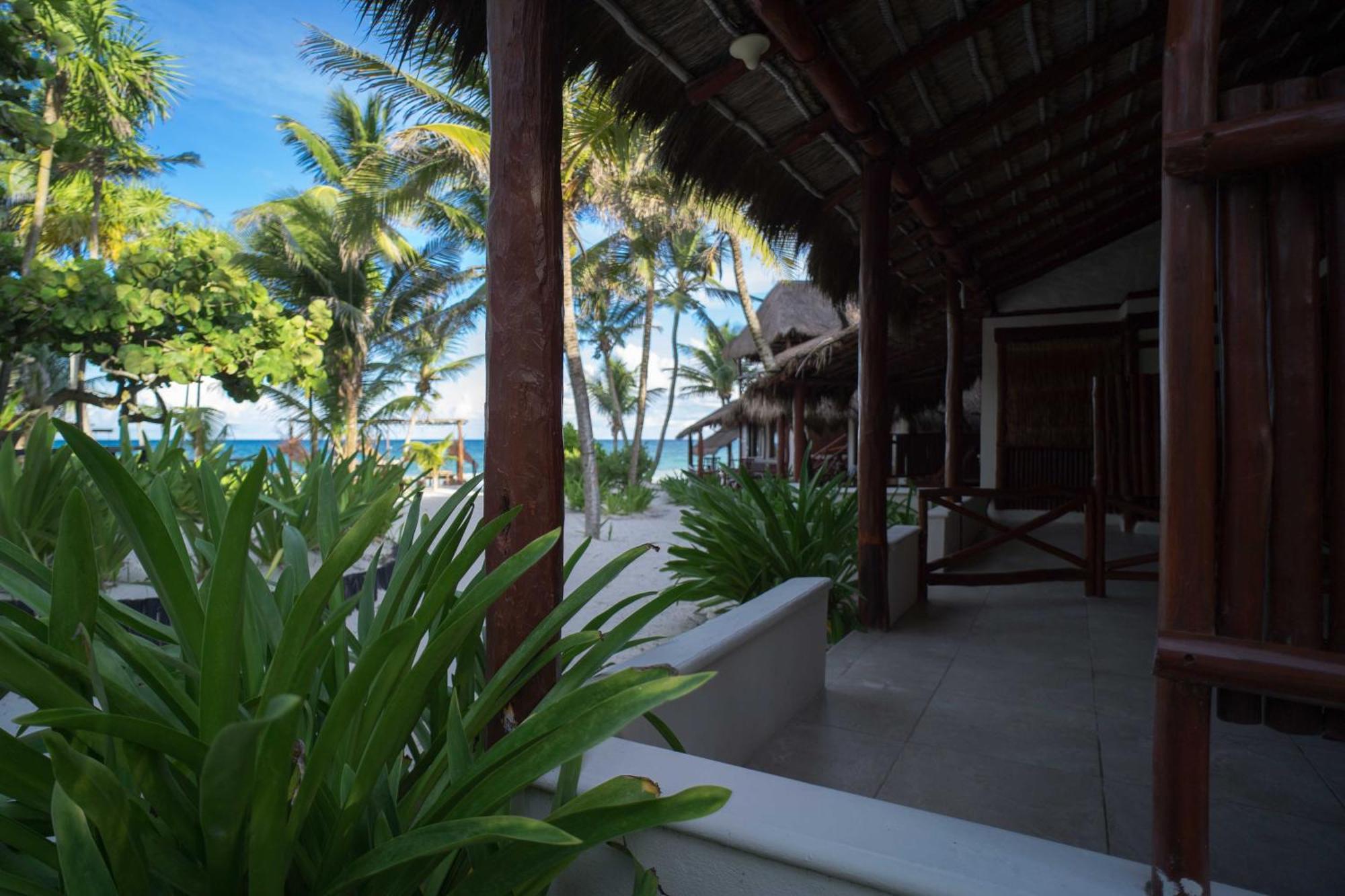 Bt Live Tulum Located At The Party Zone Hotel Buitenkant foto