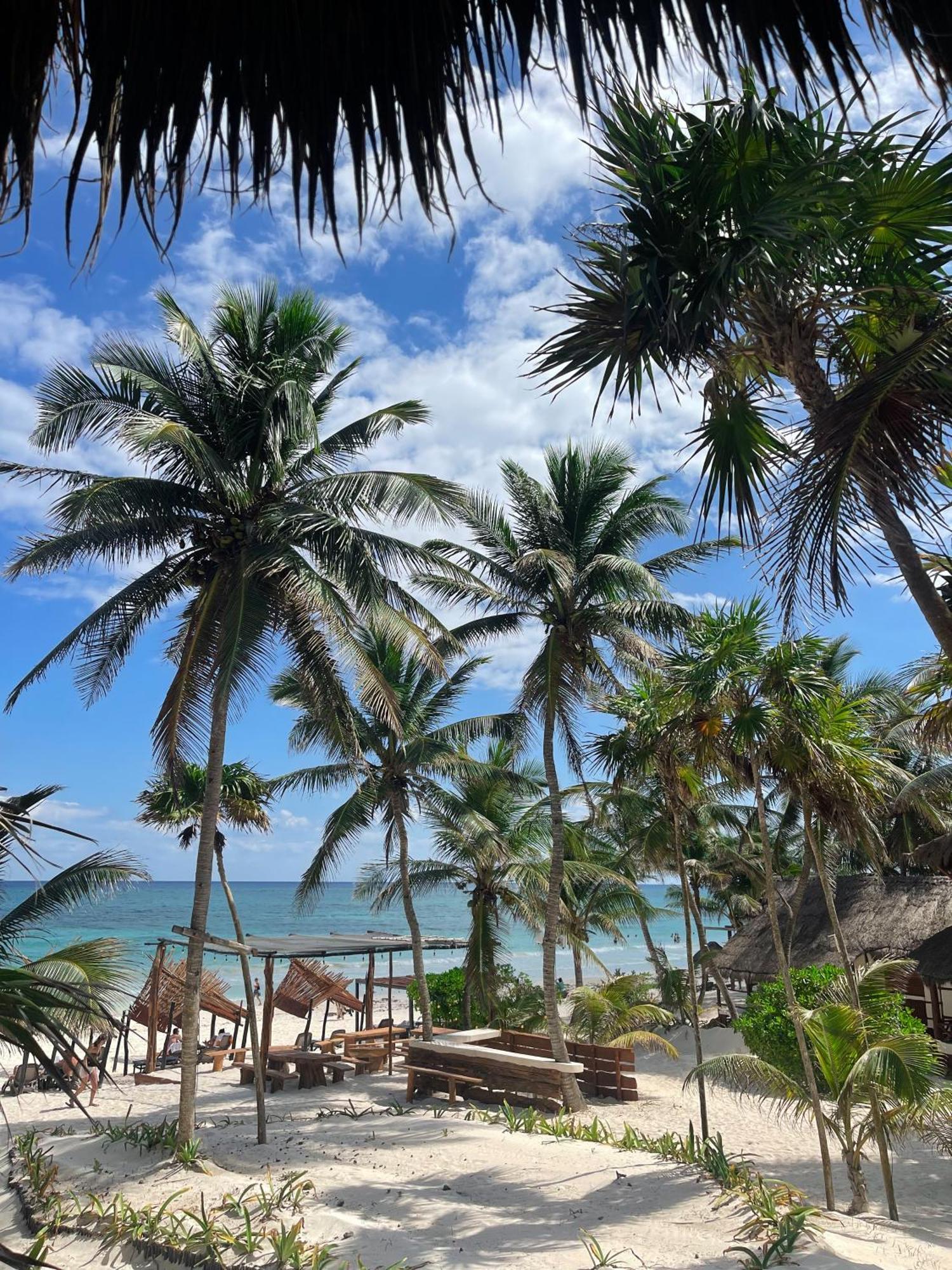 Bt Live Tulum Located At The Party Zone Hotel Buitenkant foto